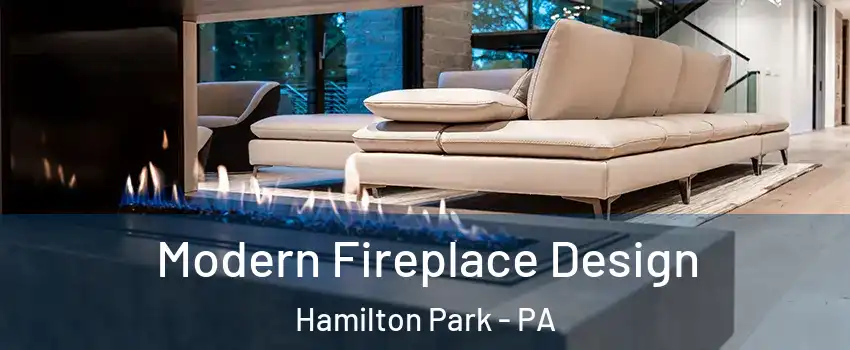 Modern Fireplace Design Hamilton Park - PA