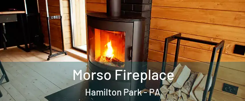 Morso Fireplace Hamilton Park - PA