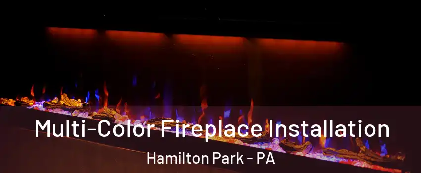 Multi-Color Fireplace Installation Hamilton Park - PA