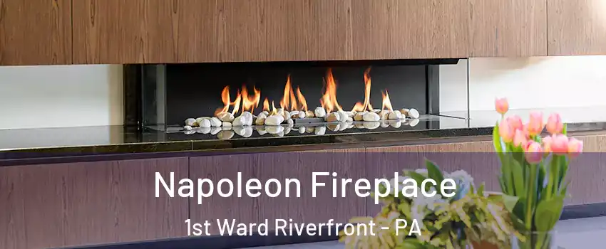 Napoleon Fireplace 1st Ward Riverfront - PA