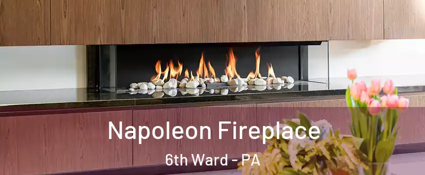 Napoleon Fireplace 6th Ward - PA