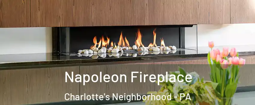 Napoleon Fireplace Charlotte's Neighborhood - PA