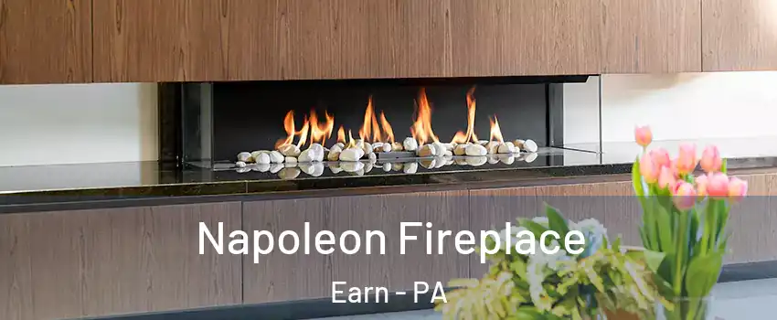 Napoleon Fireplace Earn - PA