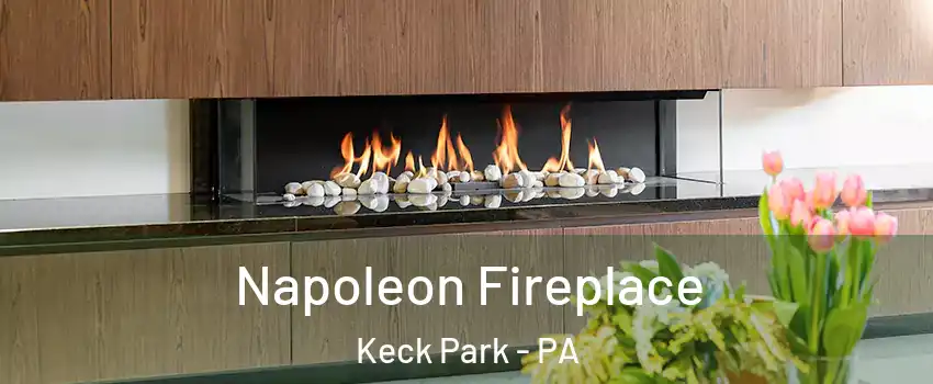 Napoleon Fireplace Keck Park - PA