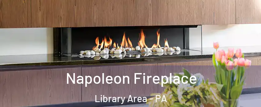 Napoleon Fireplace Library Area - PA