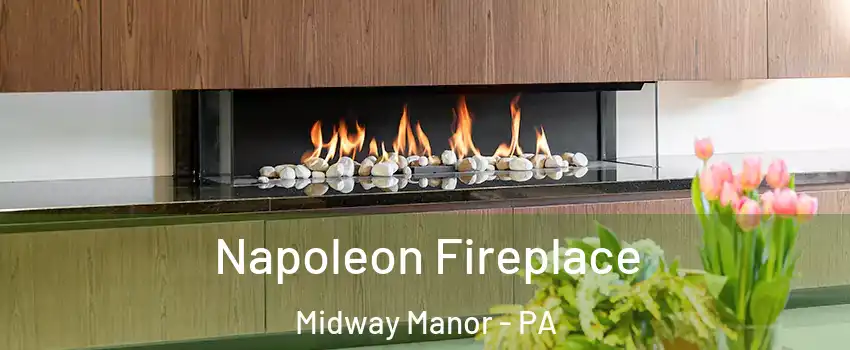 Napoleon Fireplace Midway Manor - PA