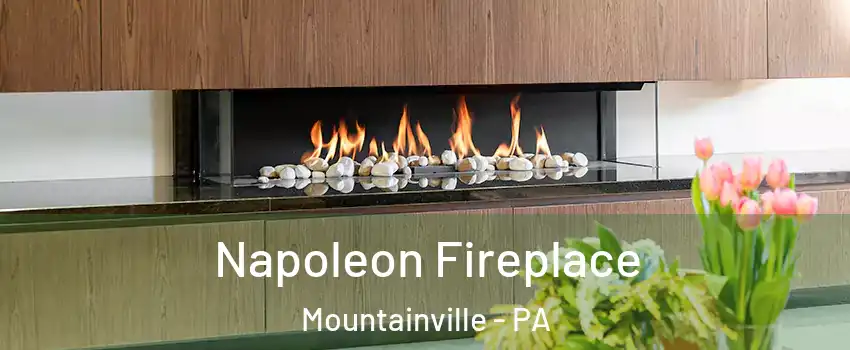 Napoleon Fireplace Mountainville - PA