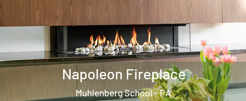 Napoleon Fireplace Muhlenberg School - PA