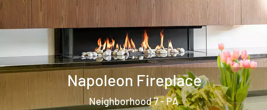 Napoleon Fireplace Neighborhood 7 - PA