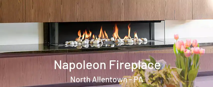 Napoleon Fireplace North Allentown - PA