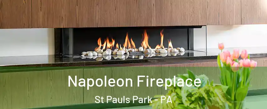 Napoleon Fireplace St Pauls Park - PA