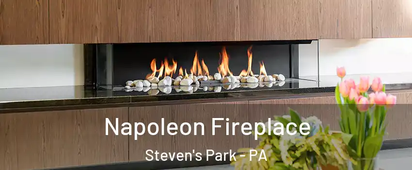 Napoleon Fireplace Steven's Park - PA