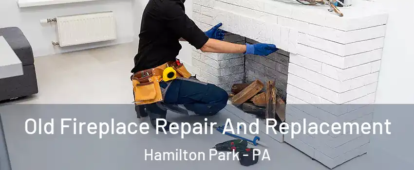 Old Fireplace Repair And Replacement Hamilton Park - PA