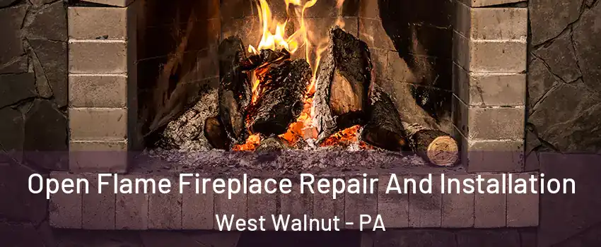 Open Flame Fireplace Repair And Installation West Walnut - PA