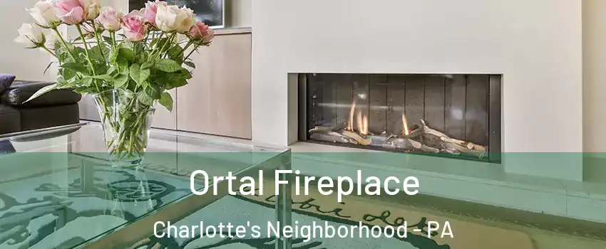 Ortal Fireplace Charlotte's Neighborhood - PA