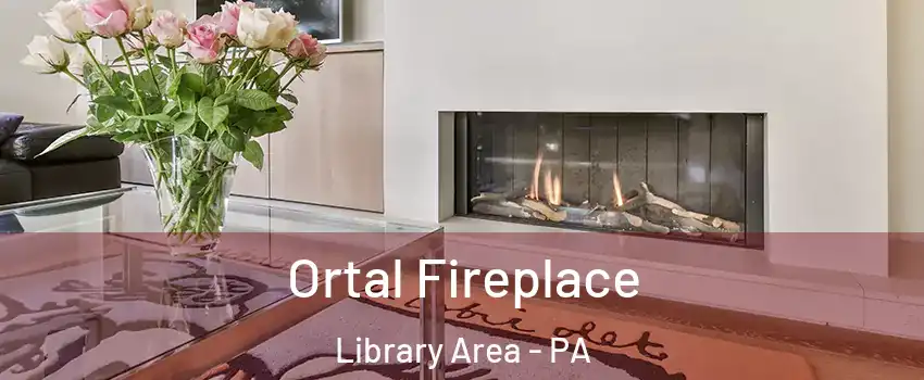 Ortal Fireplace Library Area - PA