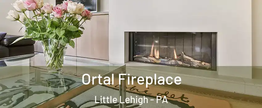 Ortal Fireplace Little Lehigh - PA