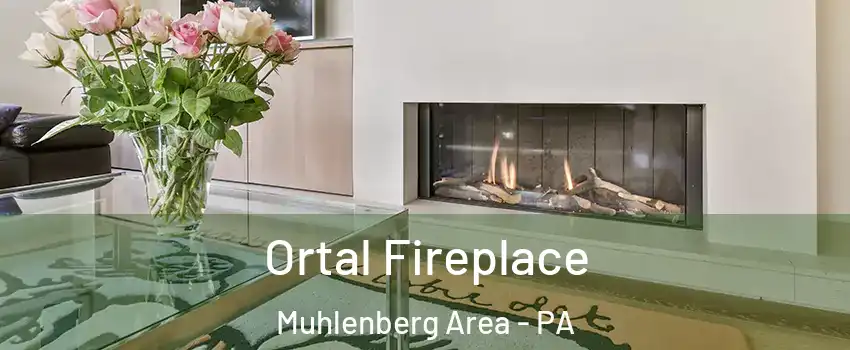 Ortal Fireplace Muhlenberg Area - PA