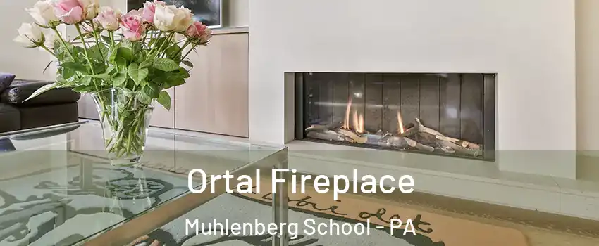 Ortal Fireplace Muhlenberg School - PA