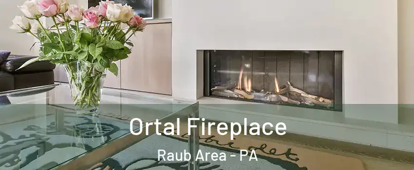 Ortal Fireplace Raub Area - PA