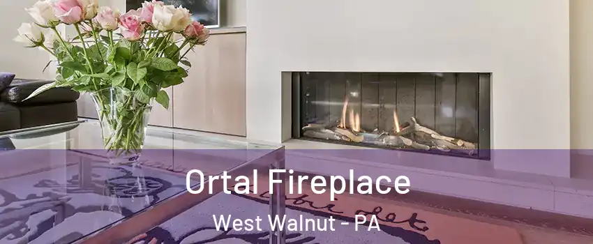 Ortal Fireplace West Walnut - PA