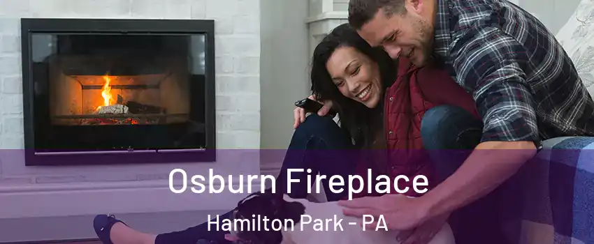 Osburn Fireplace Hamilton Park - PA