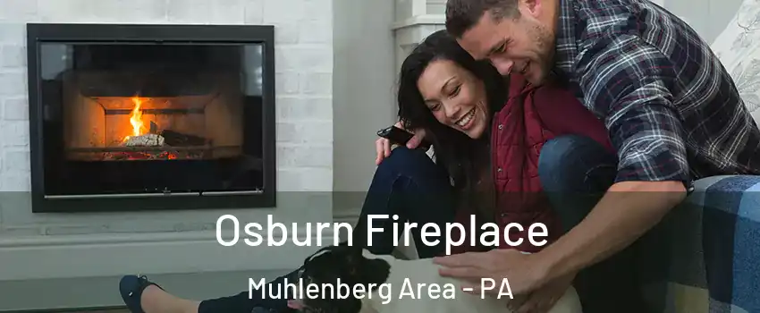 Osburn Fireplace Muhlenberg Area - PA