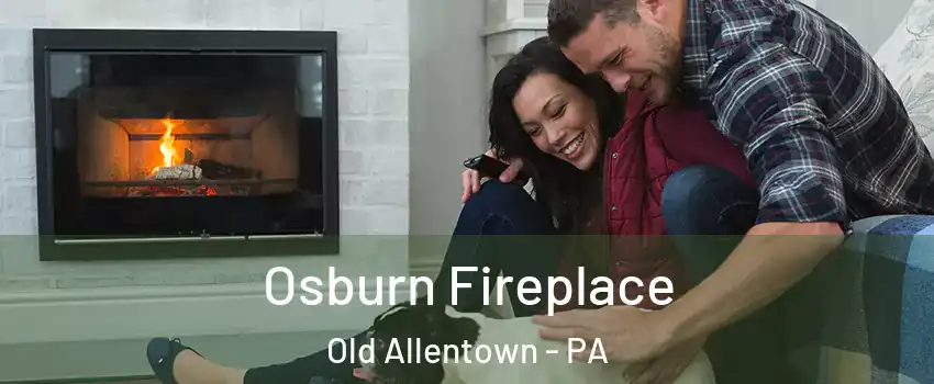 Osburn Fireplace Old Allentown - PA