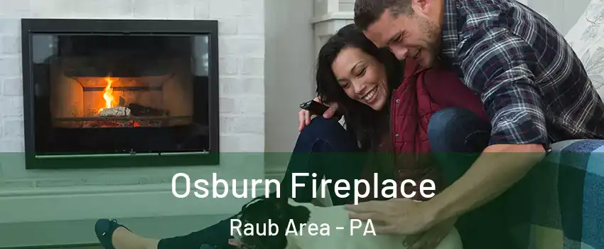 Osburn Fireplace Raub Area - PA