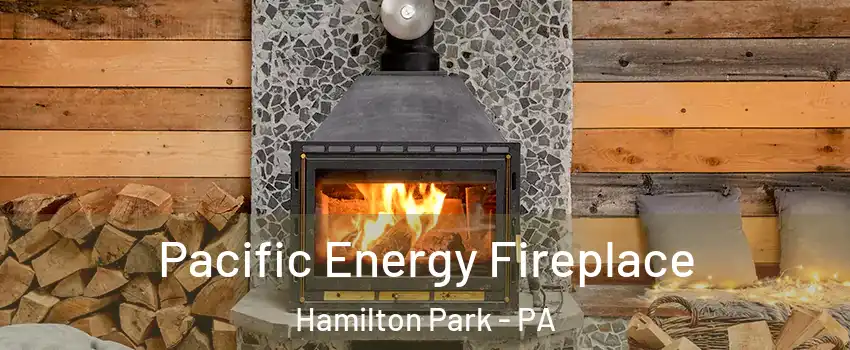 Pacific Energy Fireplace Hamilton Park - PA