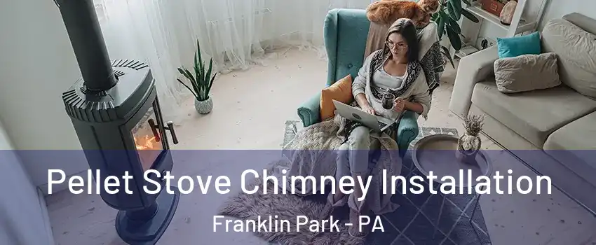 Pellet Stove Chimney Installation Franklin Park - PA