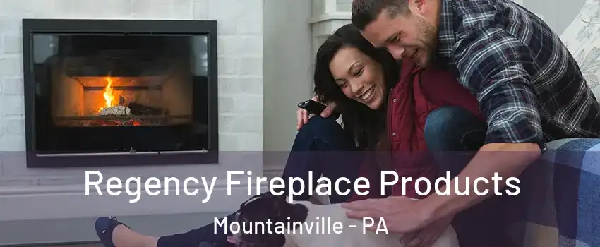 Regency Fireplace Products Mountainville - PA