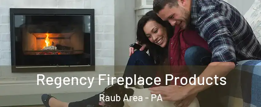 Regency Fireplace Products Raub Area - PA