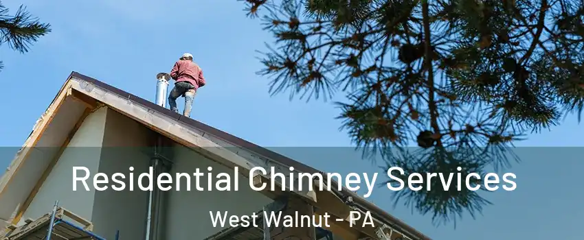 Residential Chimney Services West Walnut - PA