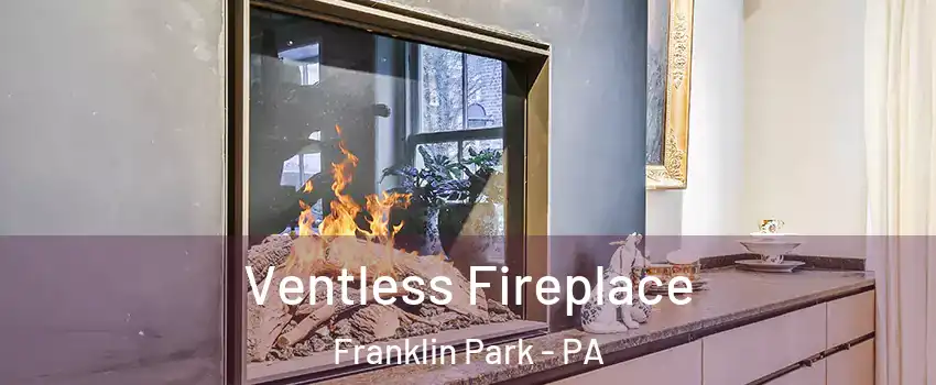 Ventless Fireplace Franklin Park - PA