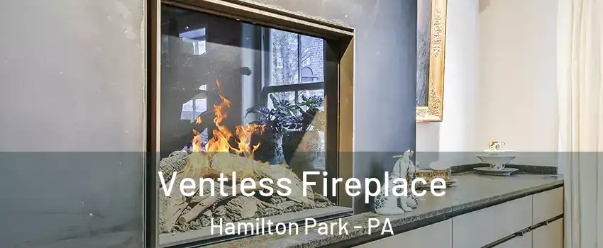 Ventless Fireplace Hamilton Park - PA