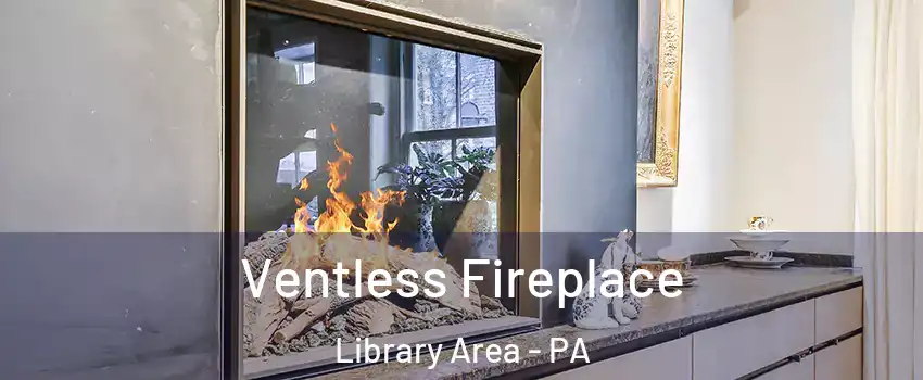 Ventless Fireplace Library Area - PA