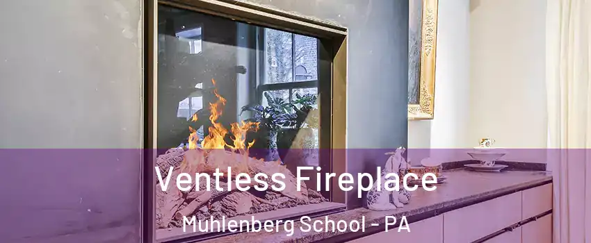 Ventless Fireplace Muhlenberg School - PA