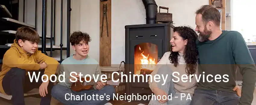 Wood Stove Chimney Services Charlotte's Neighborhood - PA