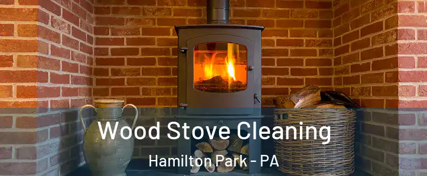 Wood Stove Cleaning Hamilton Park - PA