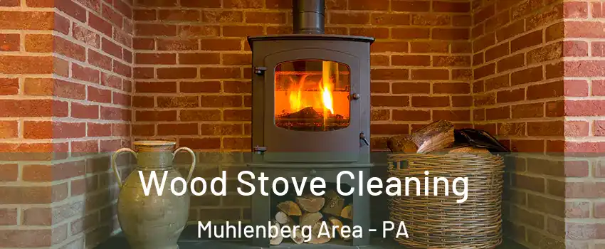 Wood Stove Cleaning Muhlenberg Area - PA