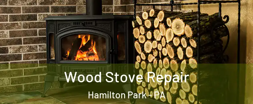 Wood Stove Repair Hamilton Park - PA