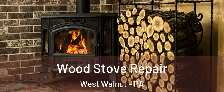 Wood Stove Repair West Walnut - PA